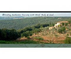 We produce organic olive oil, wine and vegetables in Toscany