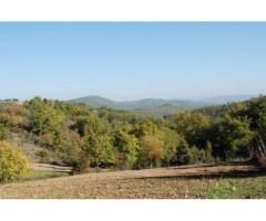 Azienda Agricola Duccio Fontani