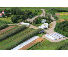 Modir Jord AKA Mother Earth organic farm in Iceland