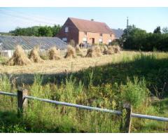 Community supported agriculture