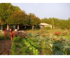 Organically renovated farm