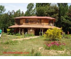 Volunteer at an organic yoga farm in Concepcion, Chile