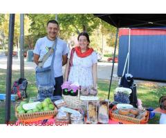 Volunteer at an organic yoga farm in Concepcion, Chile