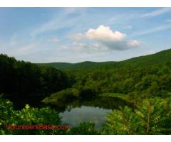 Growing food in the mountains on a beyond organic homestead