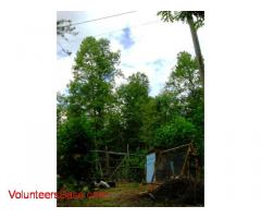 Growing food in the mountains on a beyond organic homestead