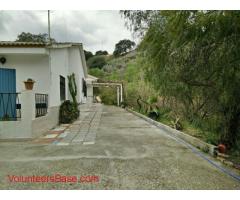 Help needed with renovation of a finca in Costa del Sol