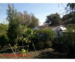 Help needed with renovation of a finca in Costa del Sol