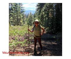 Volunteers Needed at Summer Camp in Sequoia National Forest