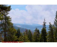 Volunteers Needed at Summer Camp in Sequoia National Forest