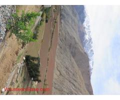 Help to develope small projects in land in Pisco Elqui