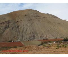 Help to develope small projects in land in Pisco Elqui