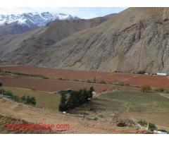 Help to develope small projects in land in Pisco Elqui