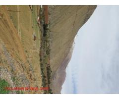 Help to develope small projects in land in Pisco Elqui