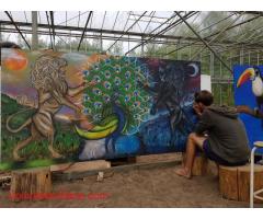 Permaculture Greenhouse and Bio-Arts Project hosting volunteers