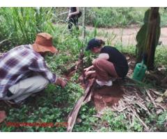 Become a Village Conservation Assistant