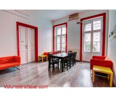 We need help in our Hostel in Budapest!