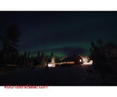 HuskyCamp in Swedish Lapland