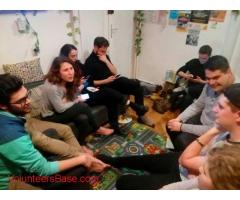 Volunteering in a small home-style hostel in the heart of Belgrade, Serbia