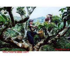 Hill Tribe Experience in Ancestral village Ha Giang