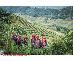 Hill Tribe Experience in Ancestral village Ha Giang