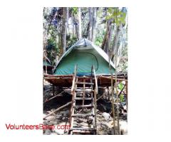 Help us to make our camping hostel sustainable nature vibes