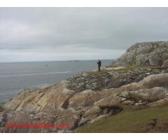 Help on a croft on Bernera in the western isles of Scotland.