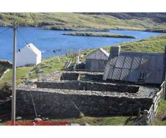 Help on a croft on Bernera in the western isles of Scotland.