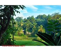 PRand Marketing professionals for Home stay and spa villa in Sri lanka