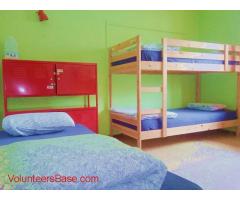 Help in Lagarto Backpackers Hostel - North Tenerife (NOT TURISTIC AREA)