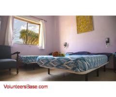 Help in Lagarto Backpackers Hostel - North Tenerife (NOT TURISTIC AREA)