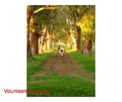 beautiful farm 260 km from buenos aires