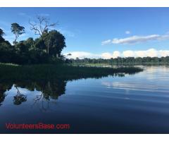 Volunteer in the Bolivian Amazon