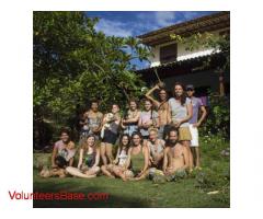 Volunteer on our organic coconut farm near Aracaju, Brazil