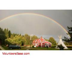 We are a small horse ranch in the forest near Falköping, Sweden looking for volunteers.