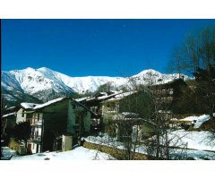 Turin, North Italy : Let's grow a veg garden on the Alps !!