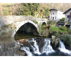 Turin, North Italy : Let's grow a veg garden on the Alps !!