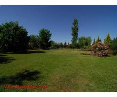 Beautiful and relaxing Wine Lodge Hotel countryside