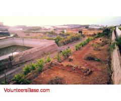 Be part in the Batoro Project Tenerife