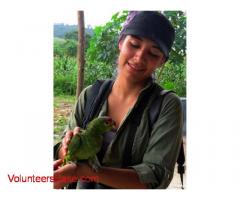 Wildlife Care & Environmental Education in Ecuador