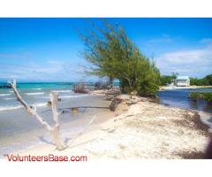 Volunteer Caretaker Assistance on private Caribbean Island of Belize needed