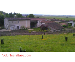 Restoring a farm close to Cognac for guesthousing and organic farming