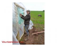Help needed on busy smallholding