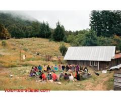 Jornada de biocontrucción y reforestación. Bosque de Palguín Alto. Pucón, Chile