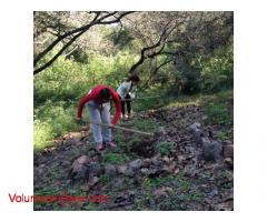 Ayude a crear una granja holistica & ecoturismo y un centro de curación en la costa alegre, Jali