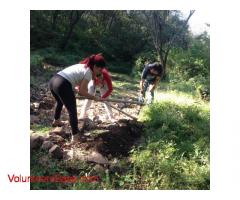 Ayude a crear una granja holistica & ecoturismo y un centro de curación en la costa alegre, Jali