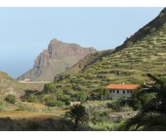 Work on an ecological farm on Gran Canaria
