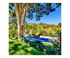 Help needed on 6 acre B & B property at Sapphire Beach, Coffs Harbour, NSW.