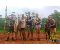 Wild Animal Rescue Program in Costa Rica Central Pacific