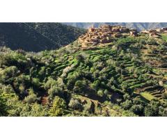 Discover Berber culture in the Atlas Mountains, Morocco and help us with photography and more