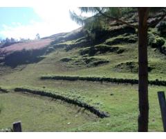 Horse and Family Rural Life in the Northeast Capital of Archeological Sites in Peru